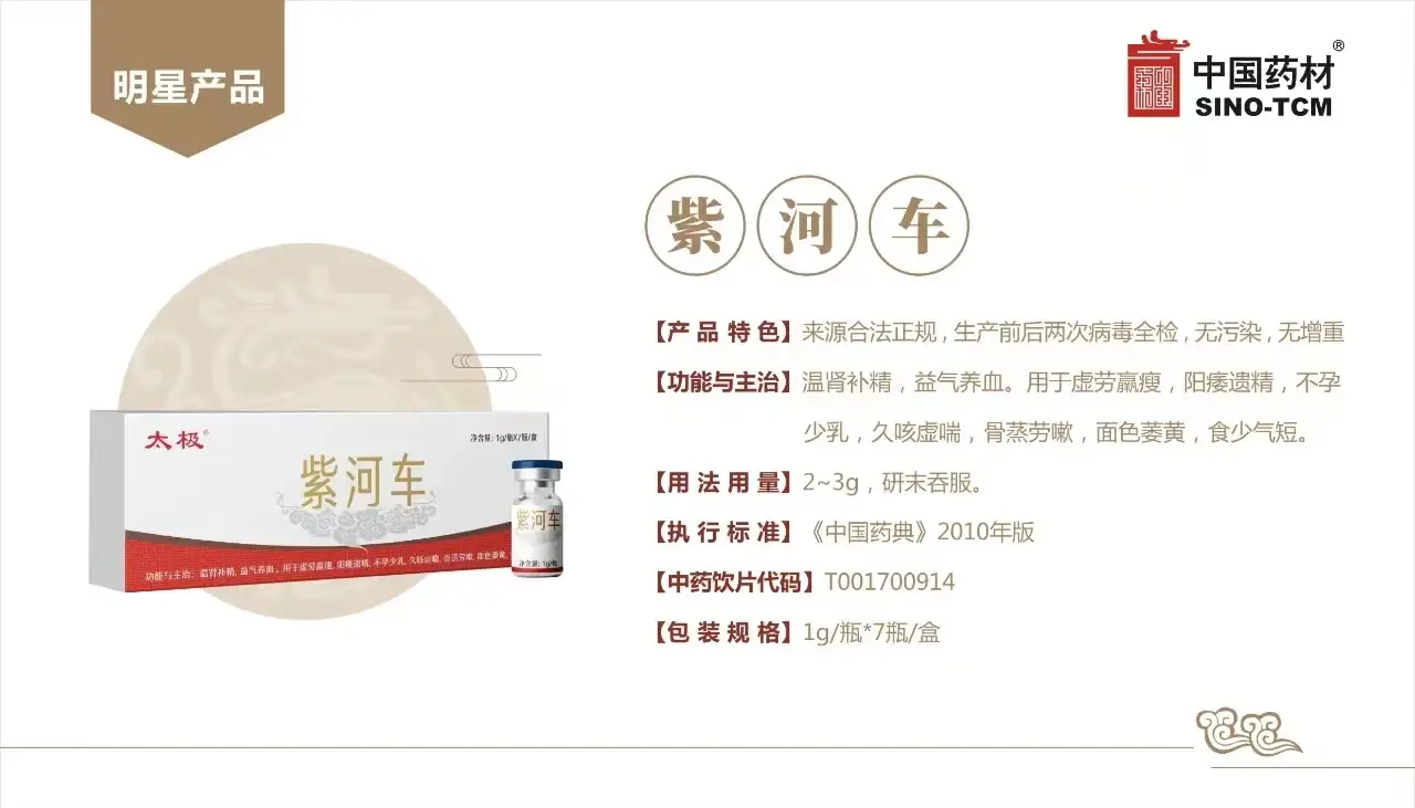 中国药材 紫河车 中药原料粉 1g/瓶×7 瓶 / 盒